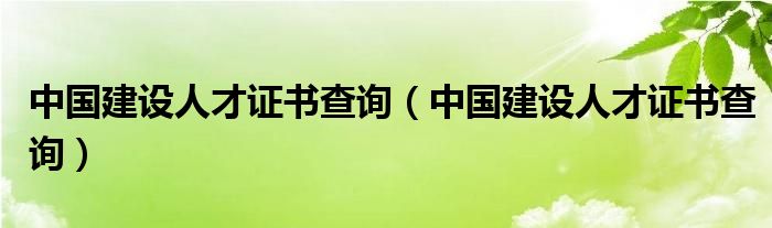 中国建设人才证书查询(中国建设人才证书查询)