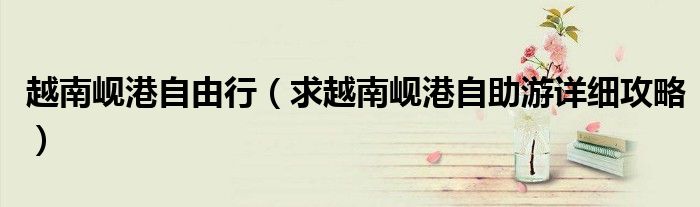 越南岘港自由行(求越南岘港自助游详细攻略)