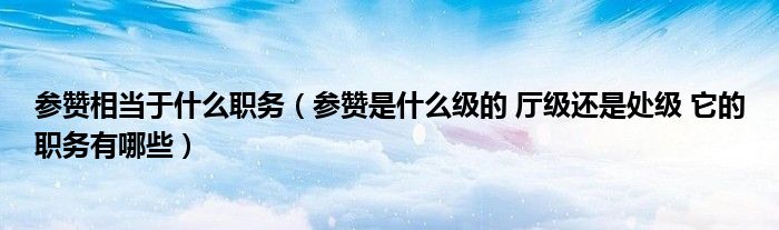 参赞相当于什么职务(参赞是什么级的 厅级还是处级 它的职务有哪些)