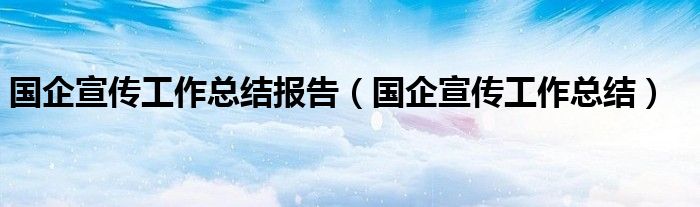 国企宣传工作总结报告(国企宣传工作总结)