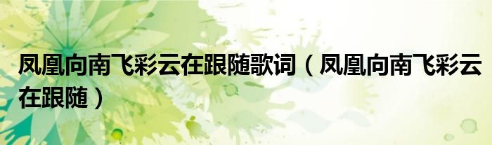 凤凰向南飞彩云在跟随歌词(凤凰向南飞彩云在跟随)