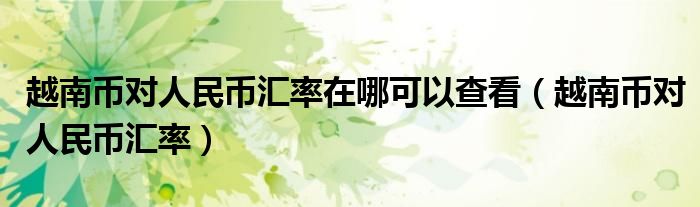 越南币对人民币汇率在哪可以查看(越南币对人民币汇率)