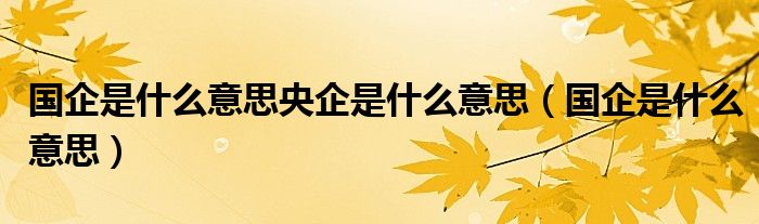 国企是什么意思央企是什么意思(国企是什么意思)