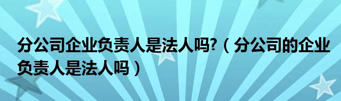分公司企业负责人是法人吗?(分公司的企业负责人是法人吗)