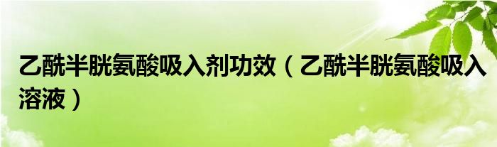 乙酰半胱氨酸吸入剂功效(乙酰半胱氨酸吸入溶液)