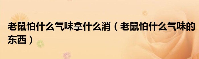 老鼠怕什么气味拿什么消(老鼠怕什么气味的东西)