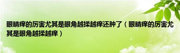 眼睛痒的厉害尤其是眼角越揉越痒还肿了(眼睛痒的厉害尤其是眼角越揉越痒)