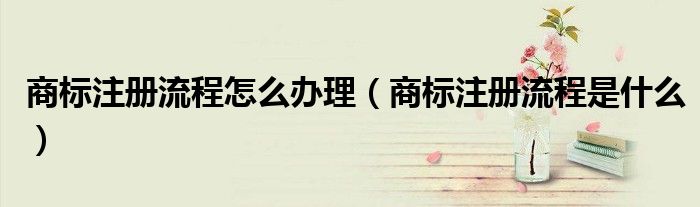 商标注册流程怎么办理(商标注册流程是什么)
