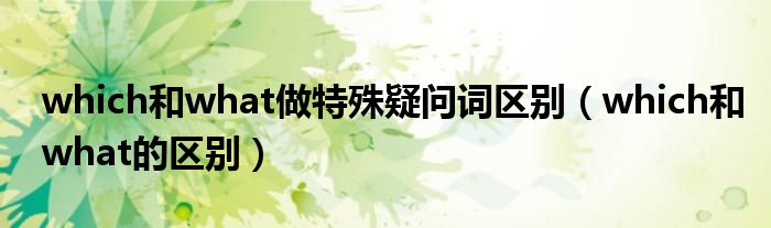 which和what做特殊疑问词区别(which和what的区别)