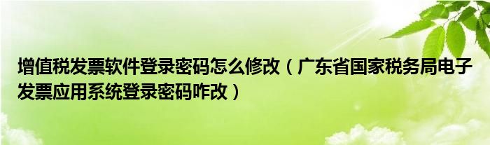 增值税发票软件登录密码怎么修改(广东省国家税务局电子发票应用系统登录密码咋改)