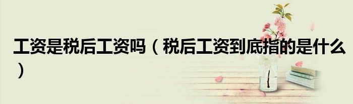 工资是税后工资吗(税后工资到底指的是什么)