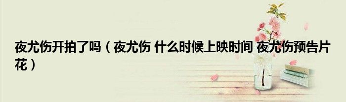 夜尤伤开拍了吗(夜尤伤 什么时候上映时间 夜尤伤预告片花)