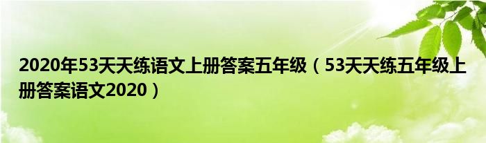 2020年53天天练语文上册答案五年级(53天天练五年级上册答案语文2020)