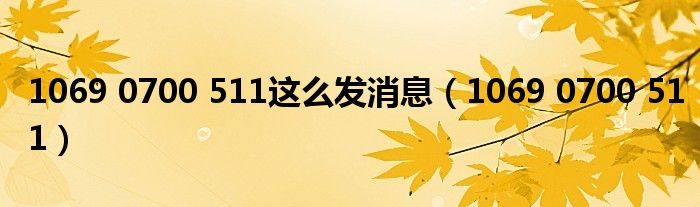 1069 0700 511这么发消息(1069 0700 511)