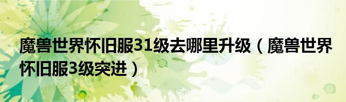 魔兽世界怀旧服31级去哪里升级(魔兽世界怀旧服3级突进)