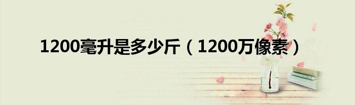 1200毫升是多少斤(1200万像素)