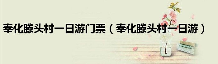 奉化滕头村一日游门票(奉化滕头村一日游)