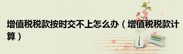增值税税款按时交不上怎么办(增值税税款计算)