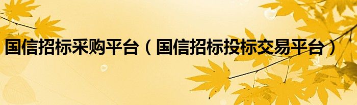国信招标采购平台(国信招标投标交易平台)
