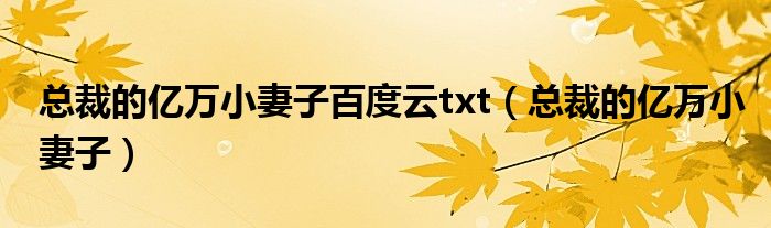 总裁的亿万小妻子百度云txt(总裁的亿万小妻子)