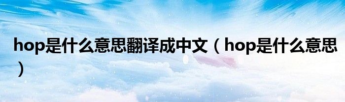 hop是什么意思翻译成中文(hop是什么意思)