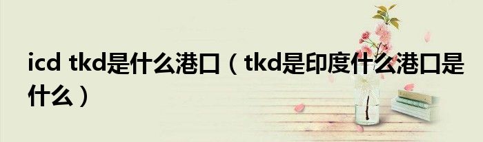 icd tkd是什么港口(tkd是印度什么港口是什么)