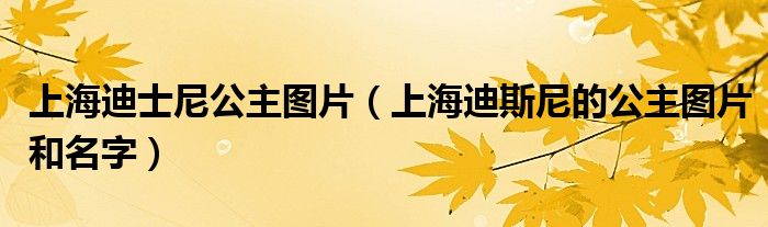 上海迪士尼公主图片(上海迪斯尼的公主图片和名字)