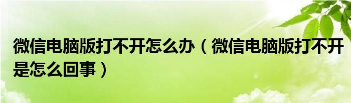 微信电脑版打不开怎么办(微信电脑版打不开是怎么回事)