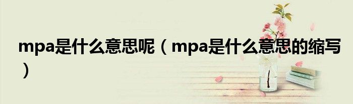 mpa是什么意思呢(mpa是什么意思的缩写)