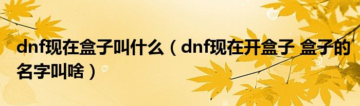 dnf现在盒子叫什么(dnf现在开盒子 盒子的名字叫啥)