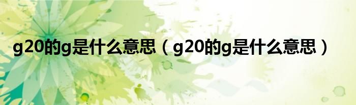 g20的g是什么意思(g20的g是什么意思)