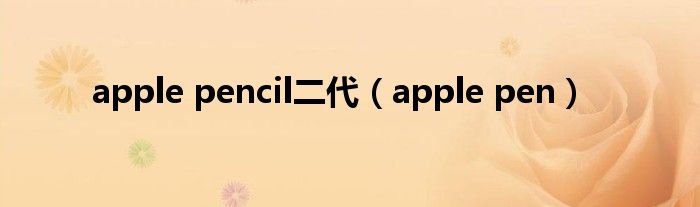 apple pencil二代(apple pen)