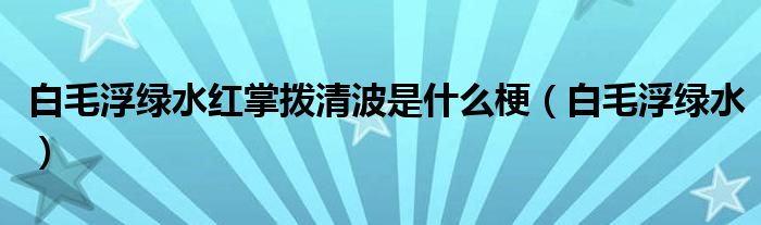 白毛浮绿水红掌拨清波是什么梗(白毛浮绿水)