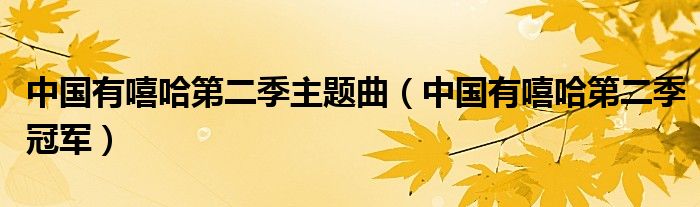 中国有嘻哈第二季主题曲(中国有嘻哈第二季冠军)