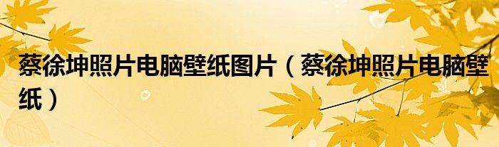 蔡徐坤照片电脑壁纸图片(蔡徐坤照片电脑壁纸)