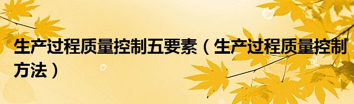 生产过程质量控制五要素(生产过程质量控制方法)