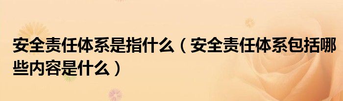 安全责任体系是指什么(安全责任体系包括哪些内容是什么)