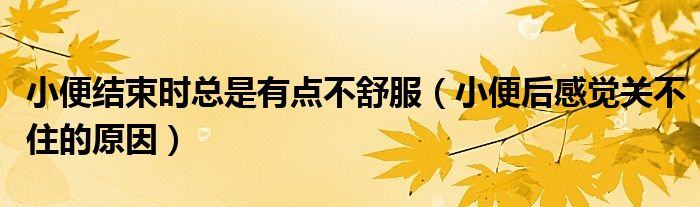 小便结束时总是有点不舒服(小便后感觉关不住的原因)