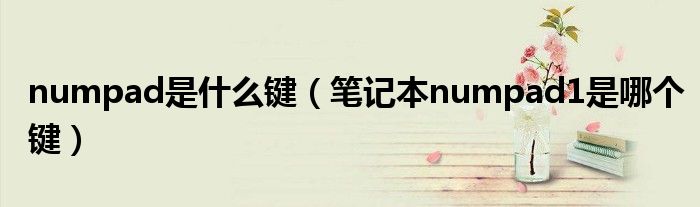 numpad是什么键(笔记本numpad1是哪个键)
