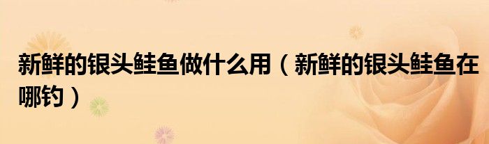 新鲜的银头鲑鱼做什么用(新鲜的银头鲑鱼在哪钓)