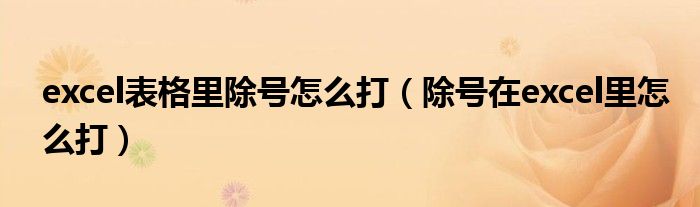 excel表格里除号怎么打(除号在excel里怎么打)