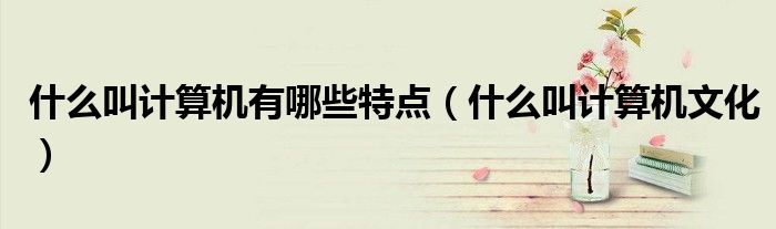 什么叫计算机有哪些特点(什么叫计算机文化)
