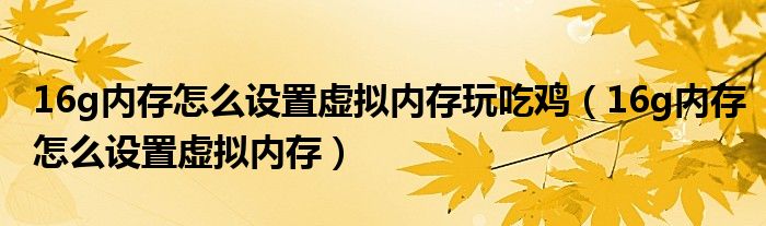 16g内存怎么设置虚拟内存玩吃鸡(16g内存怎么设置虚拟内存)