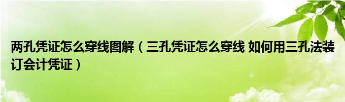 两孔凭证怎么穿线图解(三孔凭证怎么穿线 如何用三孔法装订会计凭证)