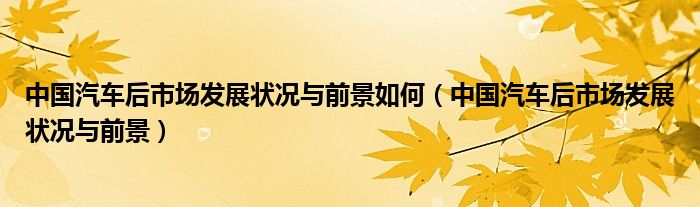 中国汽车后市场发展状况与前景如何(中国汽车后市场发展状况与前景)