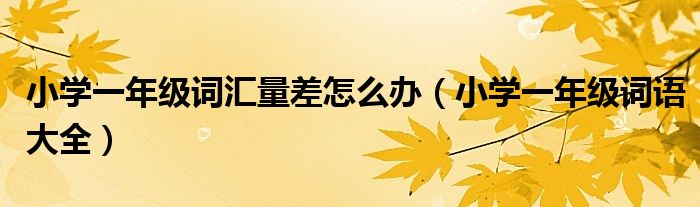 小学一年级词汇量差怎么办(小学一年级词语大全)