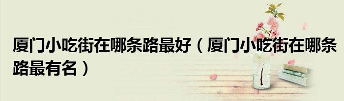 厦门小吃街在哪条路最好(厦门小吃街在哪条路最有名)
