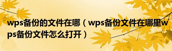 wps备份的文件在哪(wps备份文件在哪里wps备份文件怎么打开)