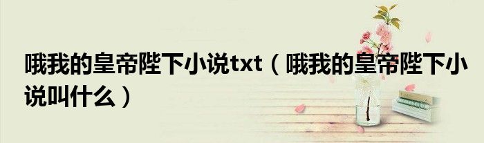 哦我的皇帝陛下小说txt(哦我的皇帝陛下小说叫什么)