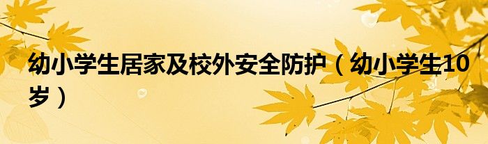 幼小学生居家及校外安全防护(幼小学生10岁)
